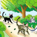 cat breeds that like walks